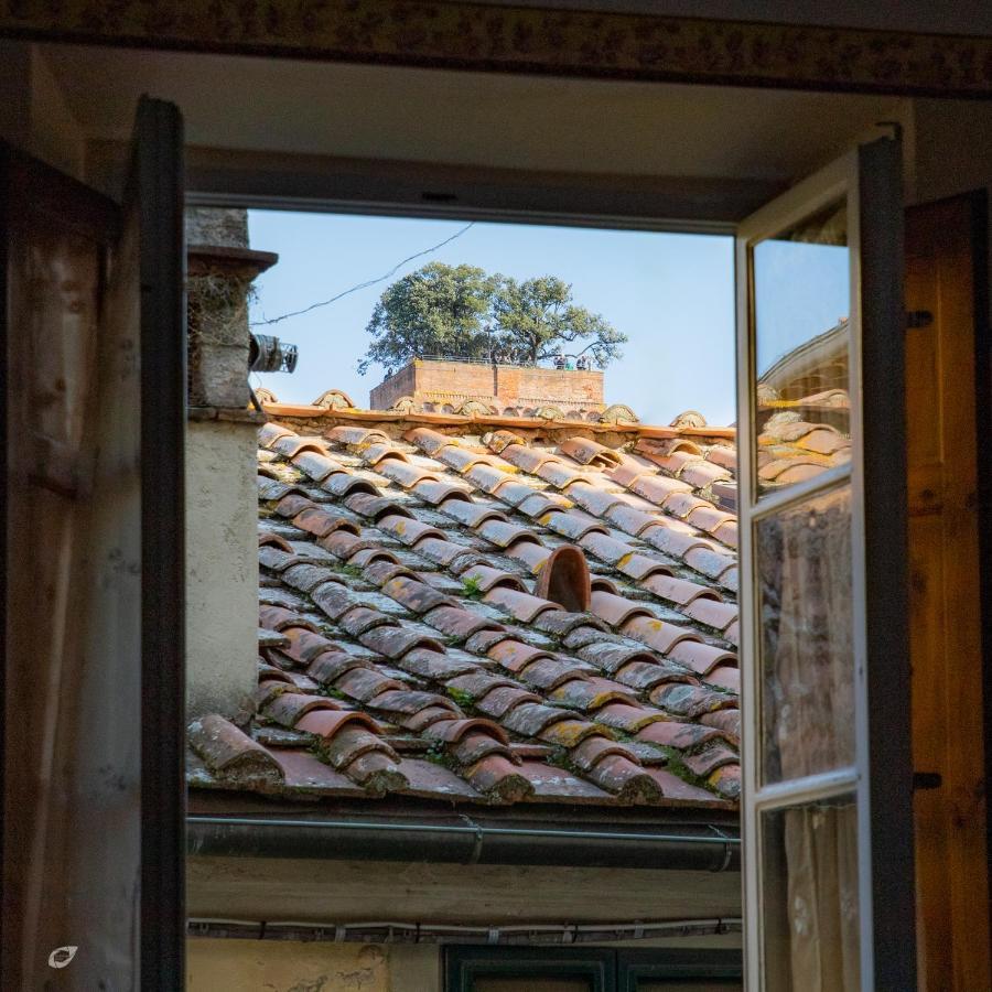 Casa Anna Apartment Lucca Exterior photo